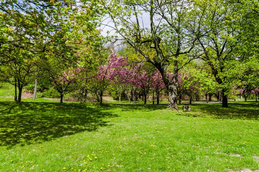 Natural surroundings and green spaces near Bloom in Fuquay Varina, NC (Image 3).