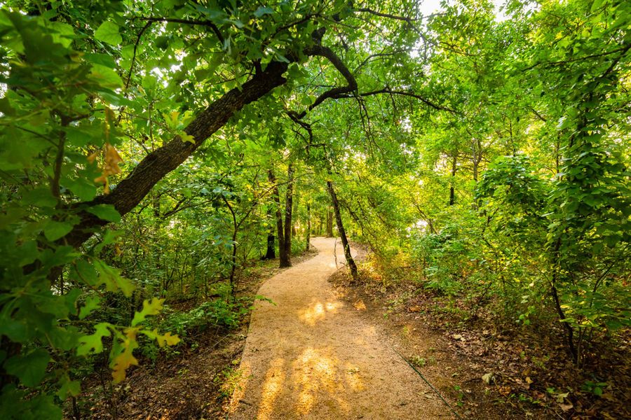 Natural surroundings and green spaces near Wildridge in Oak Point, TX (Image 30). Natural surroundings and green spaces near Wildridge in Oak Point, TX (Image 30).