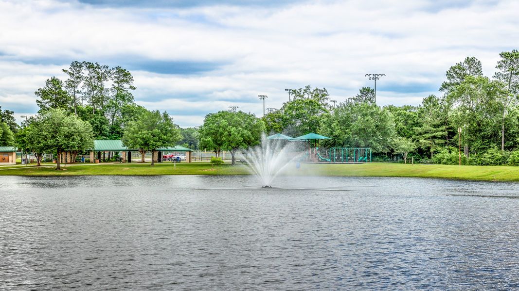 Conroe Carl Barton Jr Park Park Fishing Lake