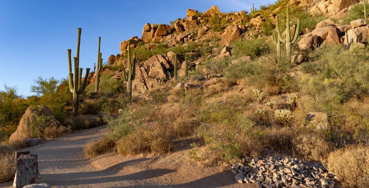 Desert trail at Pinnacle Peak Desert trail at Pinnacle Peak