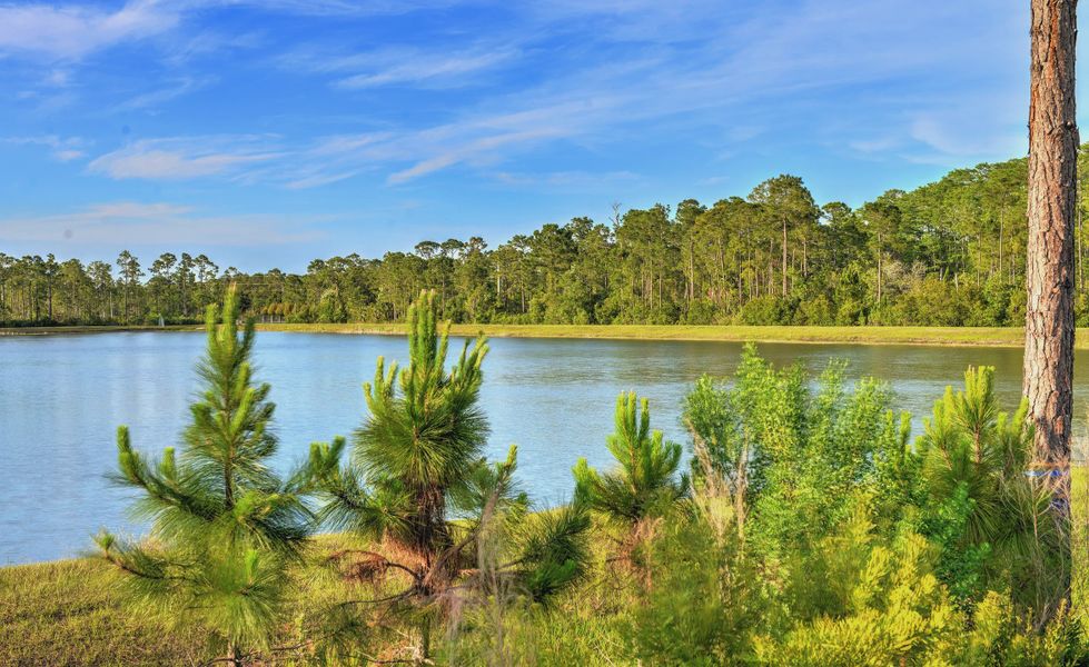 Natural surroundings and green spaces near Woodhaven Townhomes in Port Orange, FL (Image 25). Natural surroundings and green spaces near Woodhaven Townhomes in Port Orange, FL (Image 25).