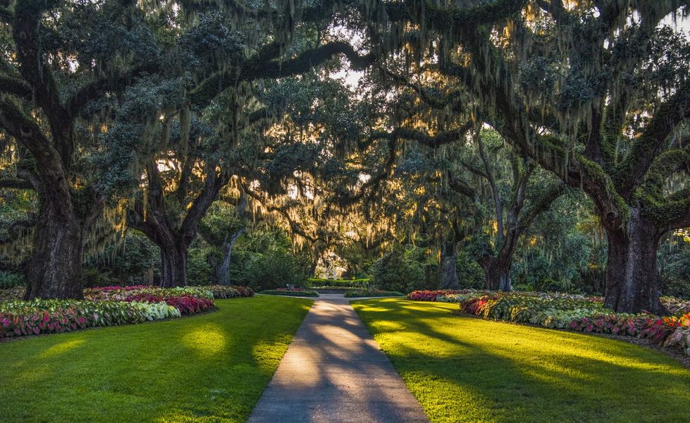 Natural surroundings and green spaces near Northbrook in Murrells Inlet, SC (Image 14).