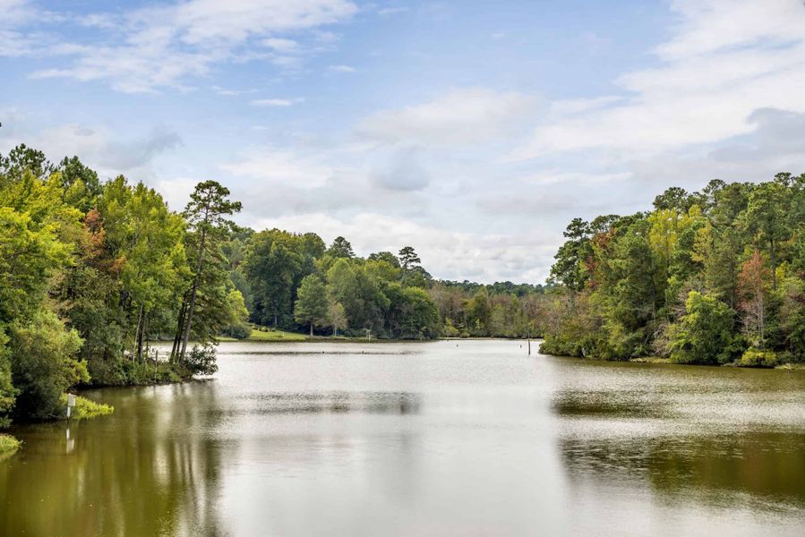 Image 57 of the Johnson Pond community in Fuquay Varina, NC. Image 57 of the Johnson Pond community in Fuquay Varina, NC.