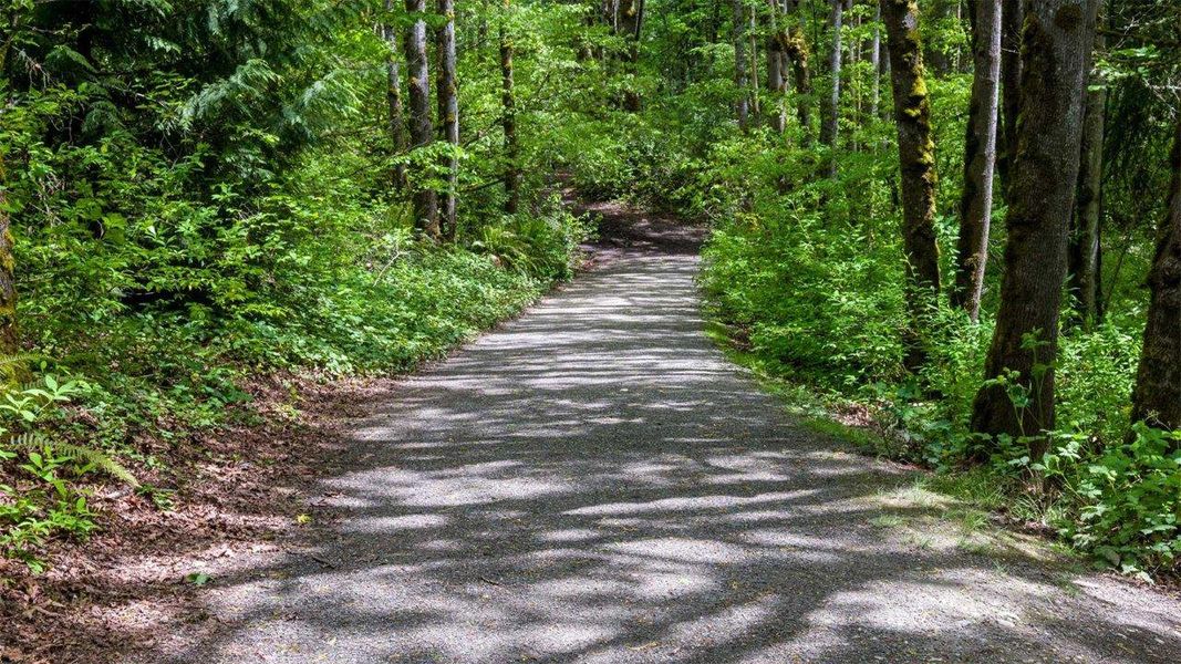 Natural surroundings and green spaces near Holly Oaks in Statesboro, GA (Image 21). Natural surroundings and green spaces near Holly Oaks in Statesboro, GA (Image 21).