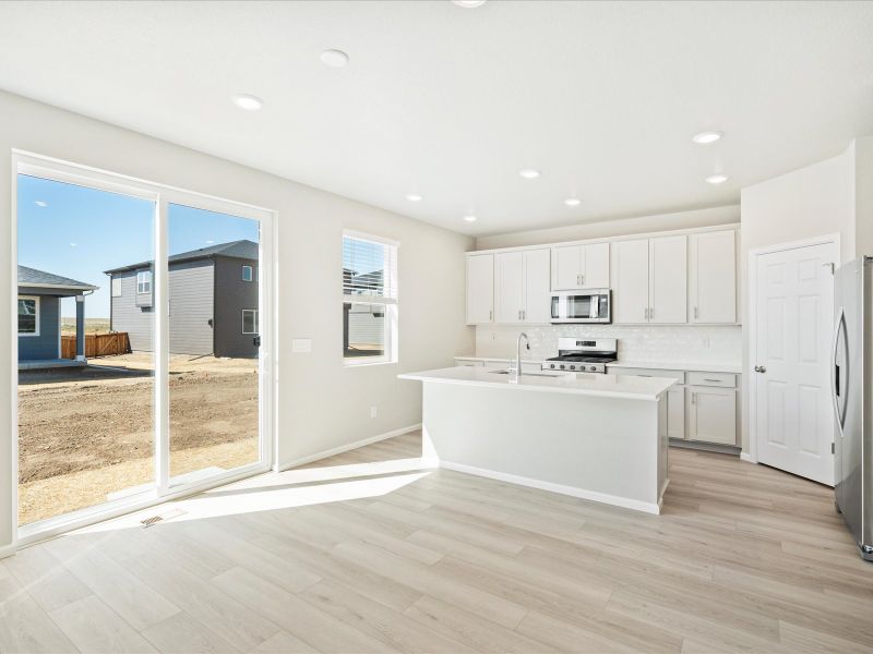 Image 29 of the Buffalo Highlands: The Flora Collection community in Commerce City, CO.