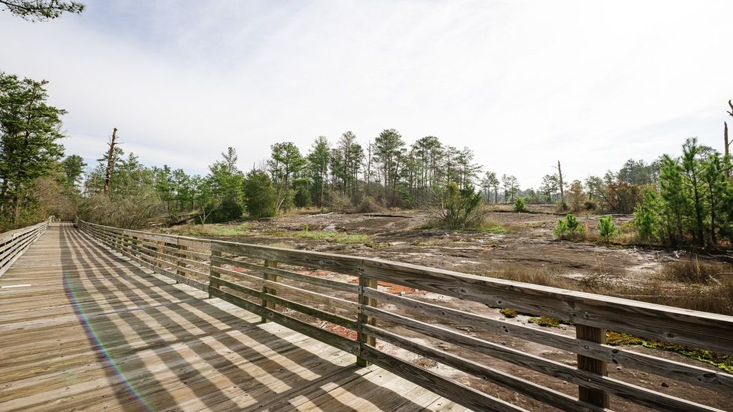 Natural surroundings and green spaces near Wellington Park in Lithonia, GA (Image 18).