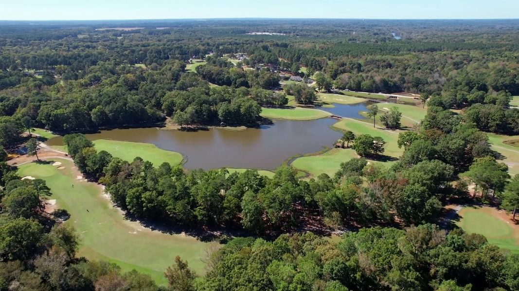 Natural surroundings and green spaces near Leander Lee Preserve in Lillington, NC (Image 30). Natural surroundings and green spaces near Leander Lee Preserve in Lillington, NC (Image 30).