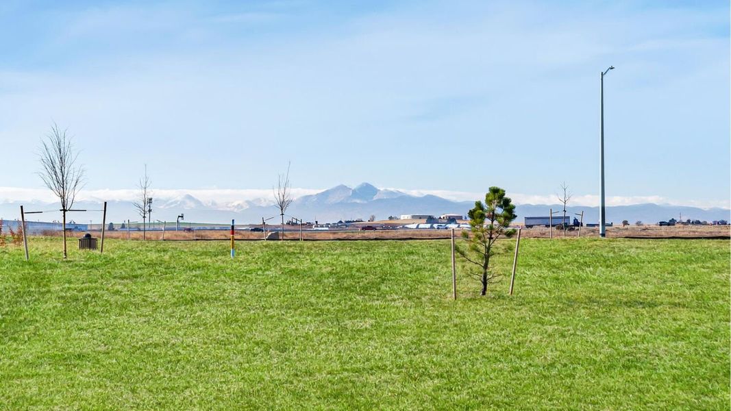 Natural surroundings and green spaces near Revere at Johnstown in Johnstown, CO (Image 32).