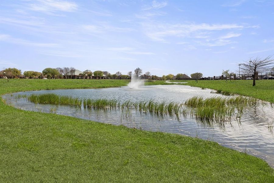 Image 43 of the The Villages of Fox Hollow community in Forney, TX.