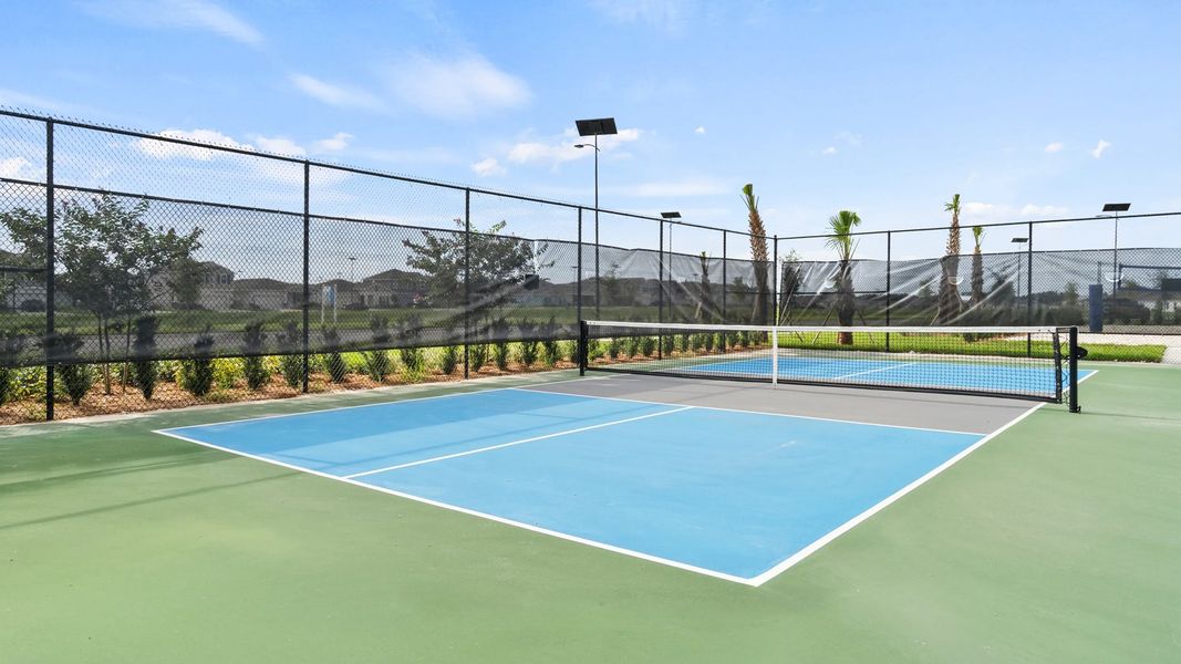 Pickleball court