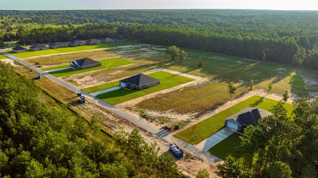 Image 53 of the Clear Water Landing community in Milton, FL.
