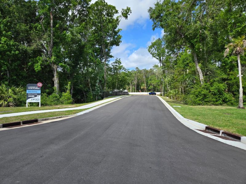 Landing at Olde Florida Entry
