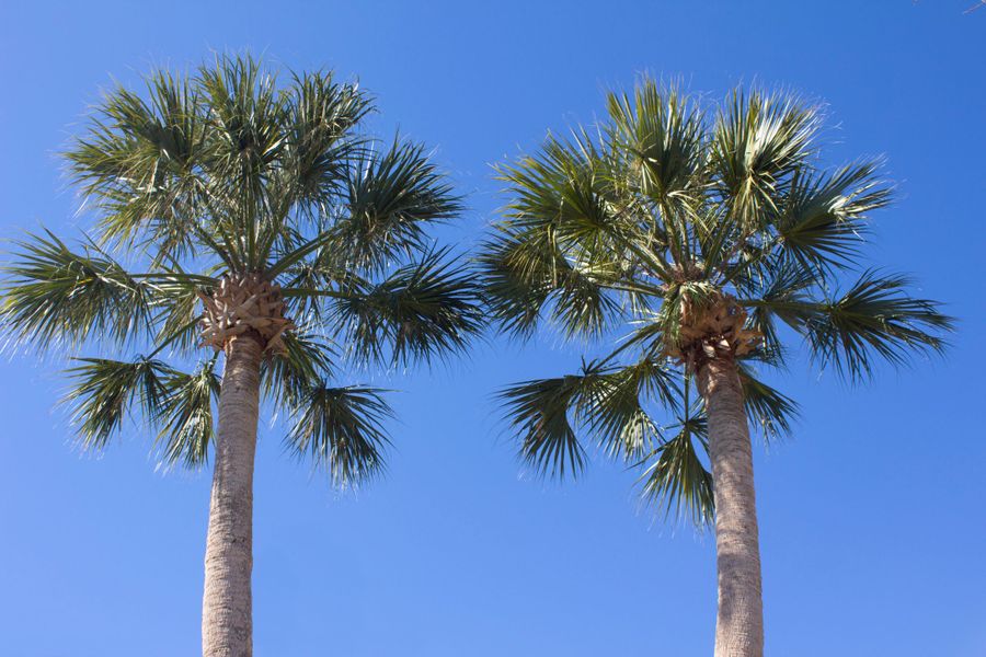 Image 29 of the Fleming Estates community in Fleming Island, FL.