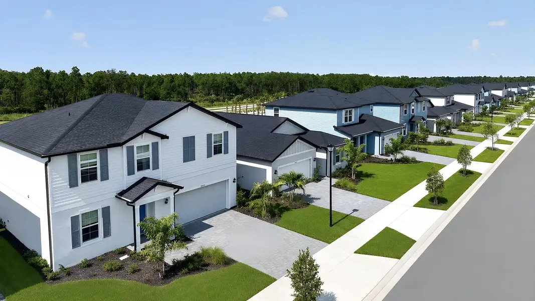 Executive Homes Sabal Glen Babcock Ranch Streetscape Executive Homes Sabal Glen Babcock Ranch Streetscape