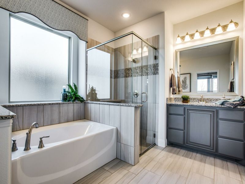 Image 5 of the Thomas Trail community in Midlothian, TX.