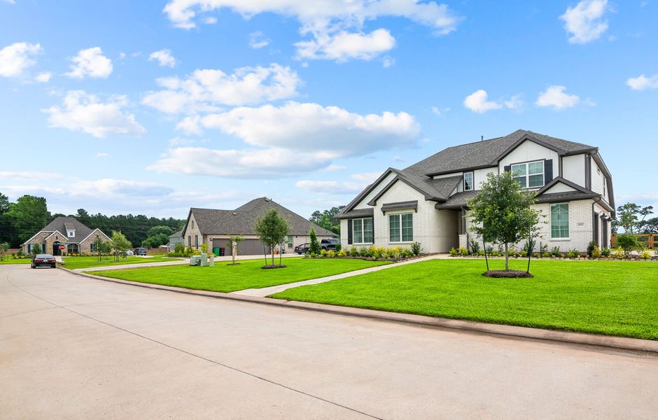 Streetscape Streetscape