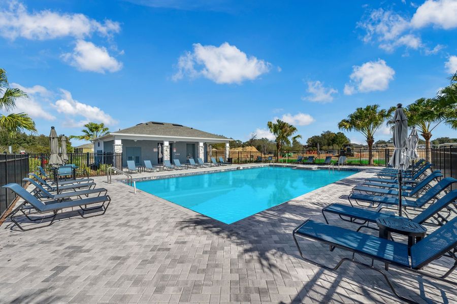 Pool at Bimini Bay