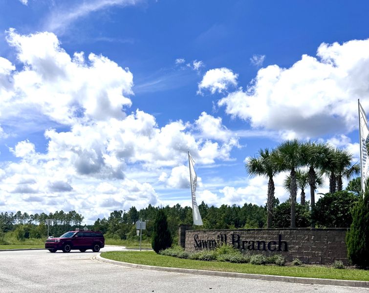 Scenic entrance with lush palms at Sawmill Branch Express by D.R. Horton, Palm Coast, FL.