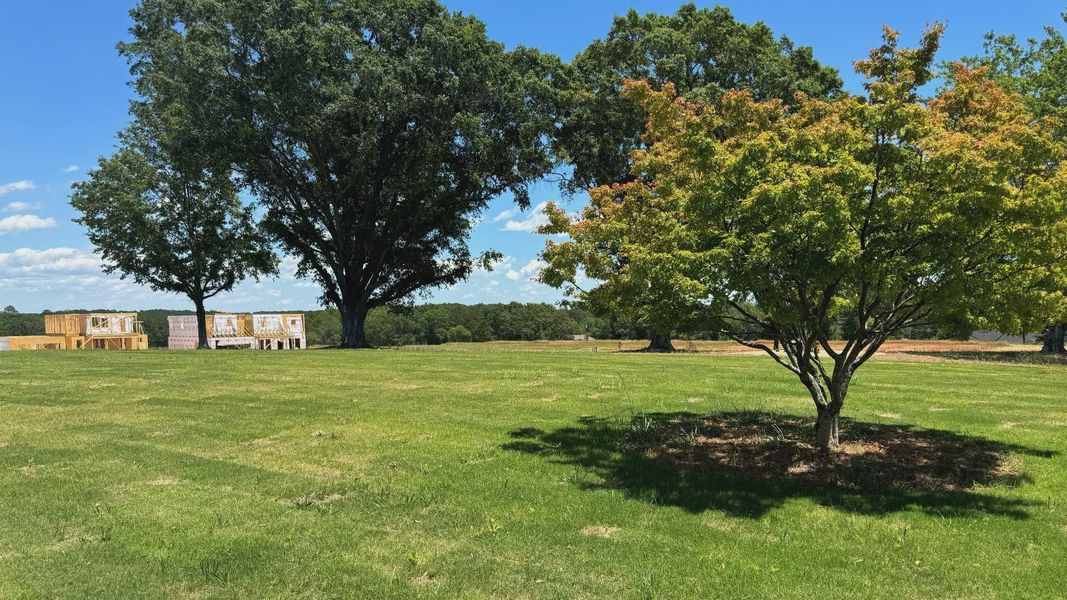 Gorgeous community park for the Midway community in Anderson, SC