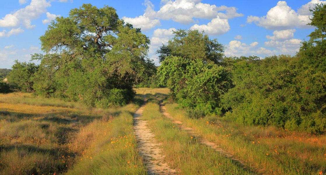 Natural surroundings and green spaces near Meyer Ranch in New Braunfels, TX (Image 32).