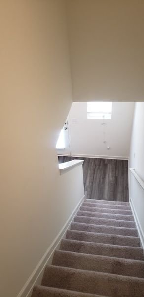 A modern staircase with plush carpeting and wood-look flooring below, leading to a bright entryway with natural light.