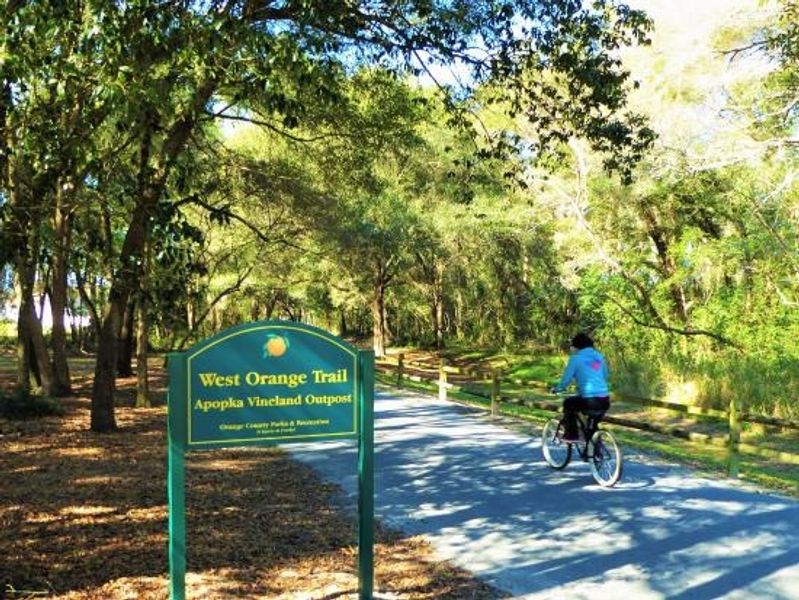 Image 18 of the Oak Pointe Townhomes community in Apopka, FL.