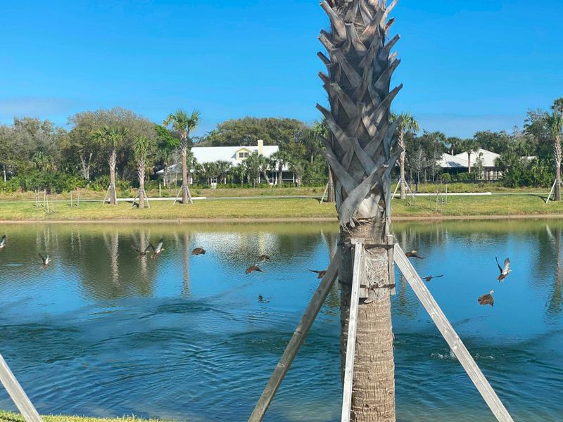 Community Lakes | The Strand:Community Lakes | The Strand