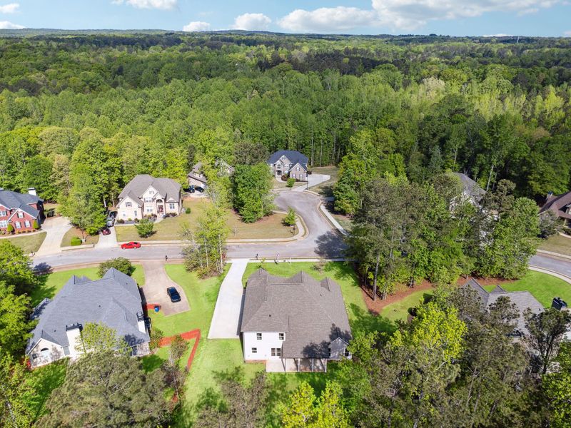 Hadi Builders - Whitestone