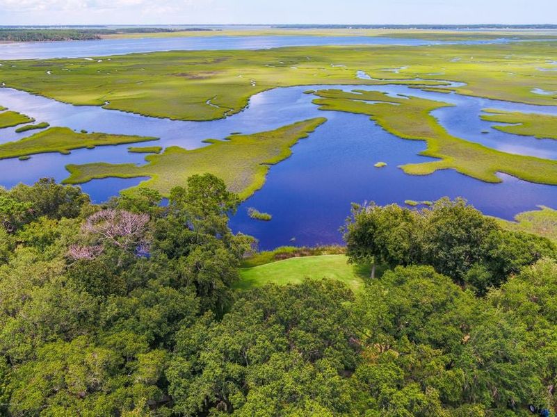 Natural surroundings and green spaces near Edwards Creek Estates in Jacksonville, FL (Image 27). Natural surroundings and green spaces near Edwards Creek Estates in Jacksonville, FL (Image 27).