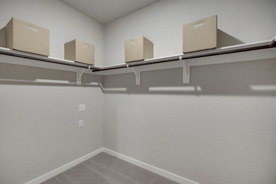 Fairway Crossing Model - Ellis