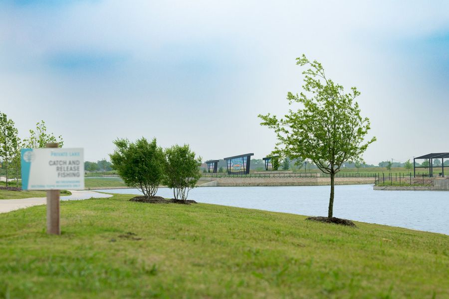 Image 121 of the Solterra community in Mesquite, TX.