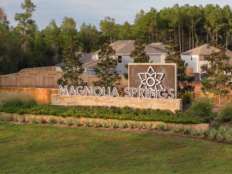 Entrance to the Magnolia Springs community in Montgomery, TX, featuring signage and landscaping (Image 2).
