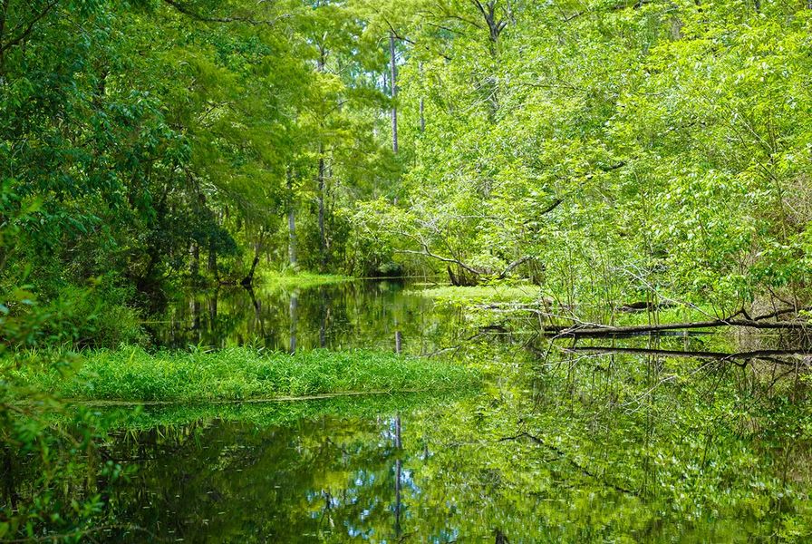 Veterans Park in St. Johns Veterans Park in St. Johns