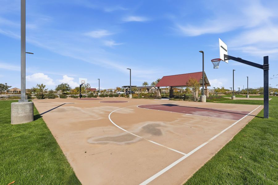 Community amenity available to residents of Bella Vista Farms in Queen Creek (Image 8). Community amenity available to residents of Bella Vista Farms in Queen Creek (Image 8).