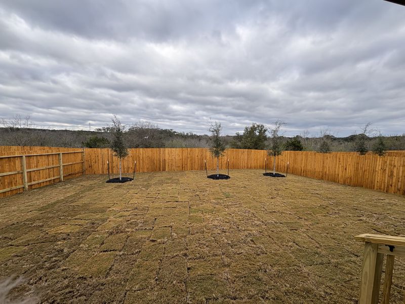 A spacious fenced backyard with young trees in Riverstone at Westpointe by D.R. Horton, San Antonio, TX.