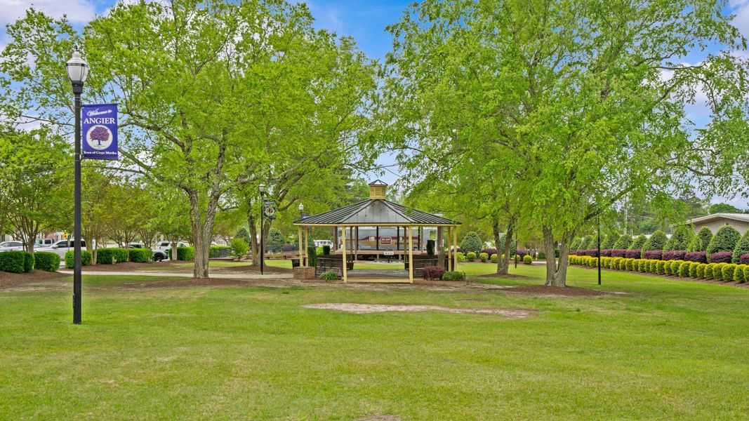 Image 34 of the Blake Pond community in Lillington, NC.