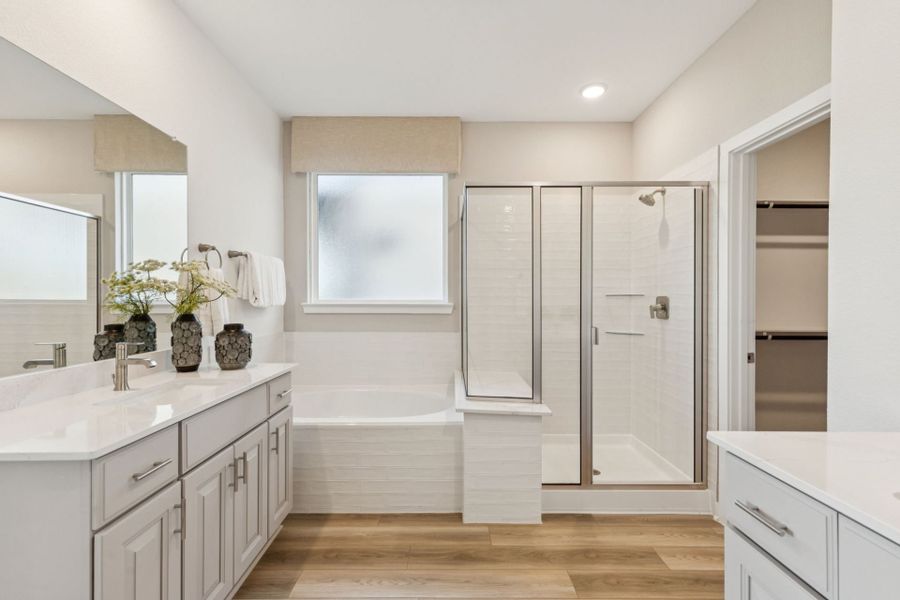 Riverdale Master Bathroom