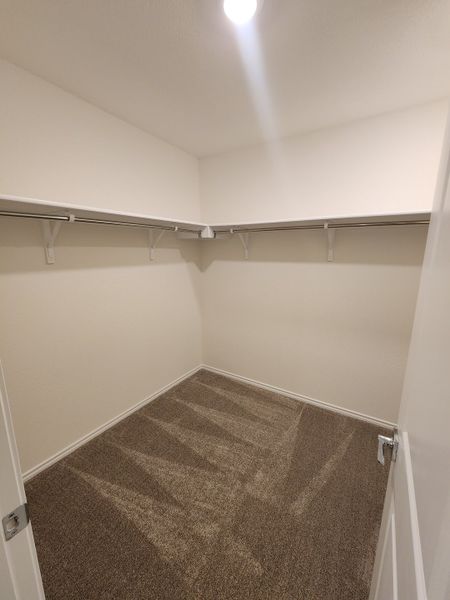 A spacious walk-in closet with carpeted flooring, bright lighting, and ample shelving for organized storage.