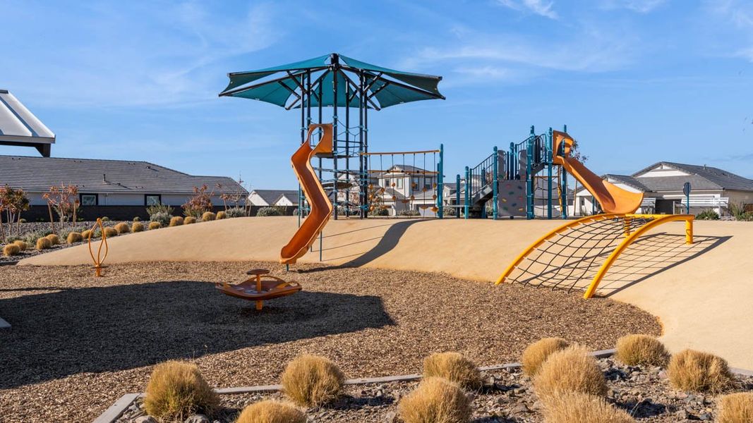 Community amenity available to residents of Radiance at Superstition Vistas in Apache Junction (Image 25).