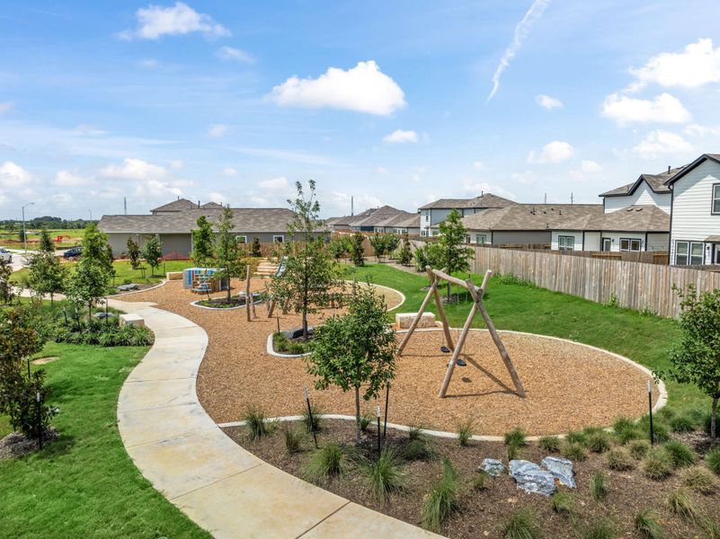A garden in a backyard. A garden in a backyard.