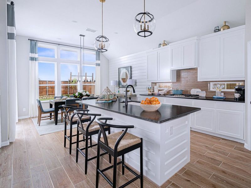 Image 3 of the Hollyhock Classic Series community in Frisco, TX.