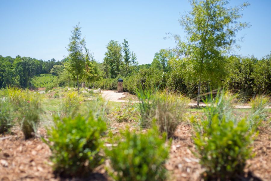 Natural surroundings and green spaces near Arden Mill in Fort Mill, SC (Image 20).