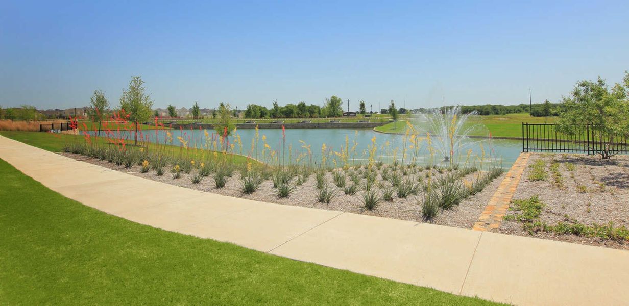 Image 90 of the The Parks at Wilson Creek: 40ft. lots community in Celina, TX.