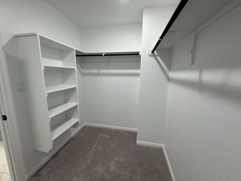 A spacious walk-in closet featuring ample shelving and hanging space with soft carpeting for a cozy, organized feel. A spacious walk-in closet featuring ample shelving and hanging space with soft carpeting for a cozy, organized feel.