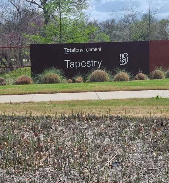 Welcome to the Tapestry community by Total Environment Homes, nestled in scenic Frisco, TX. Welcome to the Tapestry community by Total Environment Homes, nestled in scenic Frisco, TX.