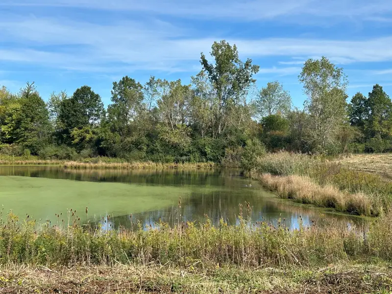 Natural surroundings and green spaces near Wellesley Woods in Ypsilanti, MI (Image 3). Natural surroundings and green spaces near Wellesley Woods in Ypsilanti, MI (Image 3).