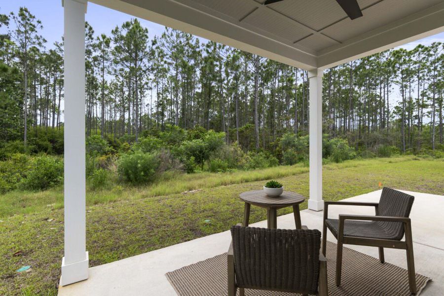 Exterior details of a home in Brizo, Santa Rosa Beach (Image 5).
