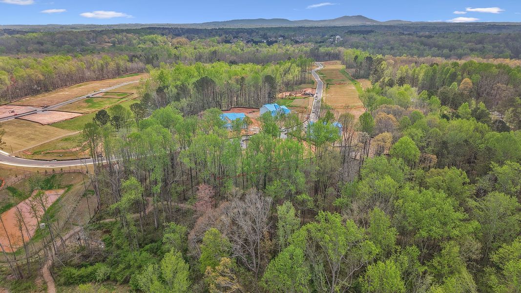 Natural surroundings and green spaces near Meadow Brook Farms in Cumming, GA (Image 29).
