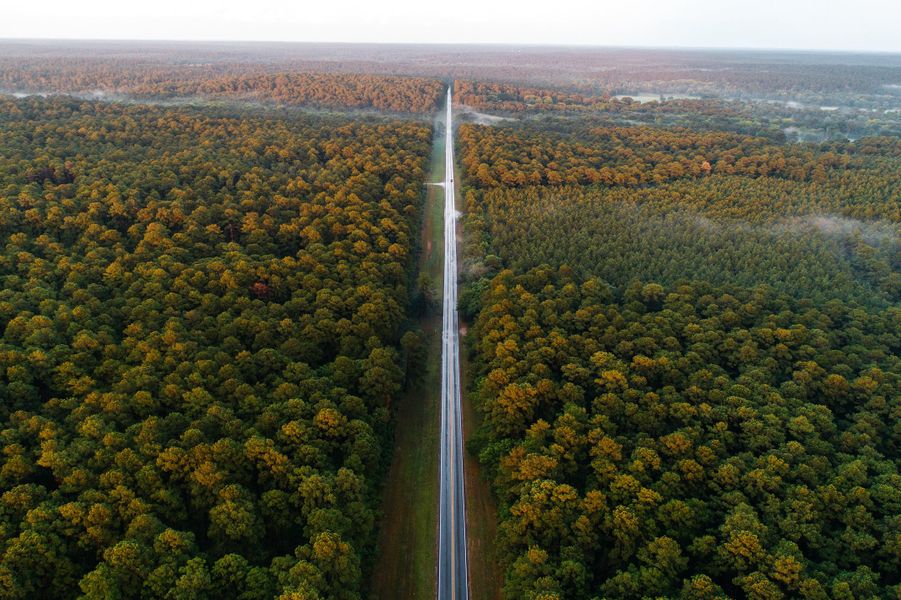 Natural surroundings and green spaces near Texas Grand Ranch in Huntsville, TX (Image 10).