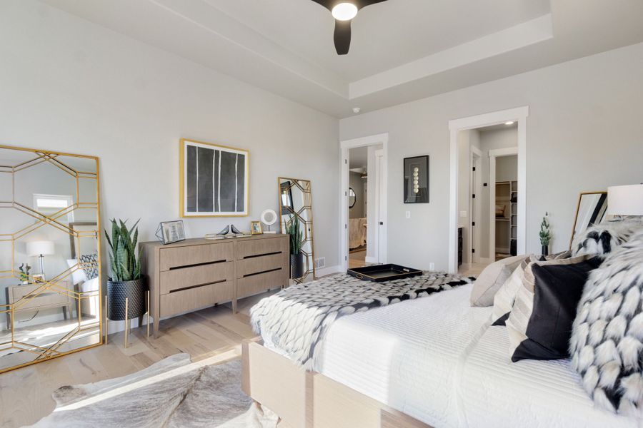 The Aurora Highlands,80019